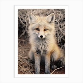 Kit Fox Photorealism 4 Art Print