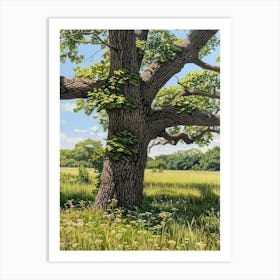 Large Oak Tree Art Print