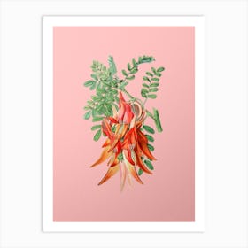 Vintage Crimson Glory Pea Flower Botanical on Soft Pink n.0195 Art Print
