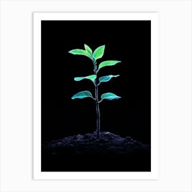 Small Green Plant On Black Background 15 Art Print