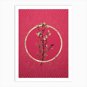 Gold Adenocarpus Glitter Ring Botanical Art on Viva Magenta n.0352 Art Print
