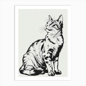 Cat Drawing 6 Art Print