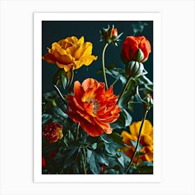 Orange Roses 1 Art Print