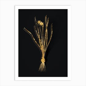 Vintage Rush Leaf Jonquil Botanical in Gold on Black n.0261 Art Print