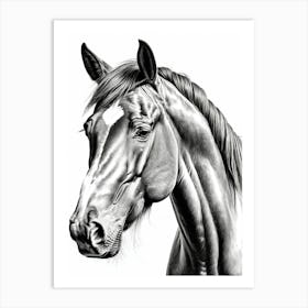 Highly Detailed Pencil Sketch Portrait of Horse with Soulful Eyes 4 Art Print