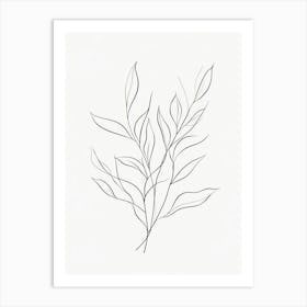 Eucalyptus 4 Art Print