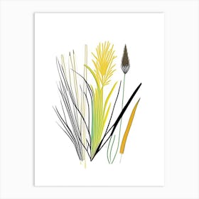 Lemon Grass Spices And Herbs Minimal Line Drawing 1 Art Print