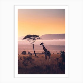 Giraffe At Sunset Art Print