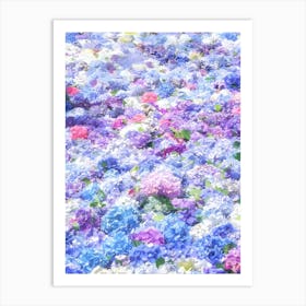 Hydrangeas 3 Art Print