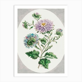 Chrysanthemums 1 Art Print