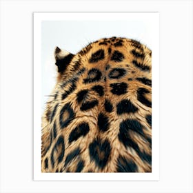 Leopard Head 3 Art Print