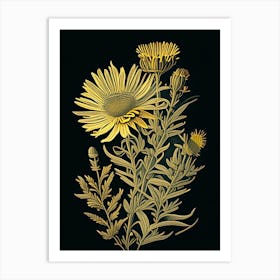 Golden Aster Wildflower Vintage Botanical 1 Art Print