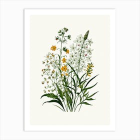 Vintage Botanical Galleria Style Wildflower Painting 40 Art Print