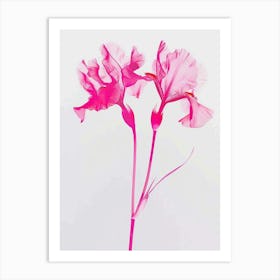 Hot Pink Iris 2 Art Print