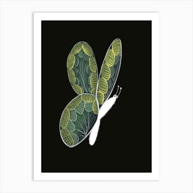 Butterfly Art Print