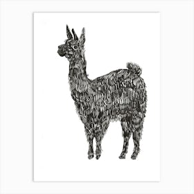 B&W Llama Art Print