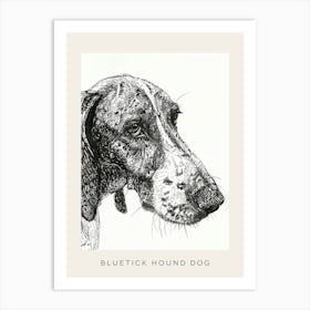 Bluetick Hound Dog Line Sketch 3 Poster Art Print