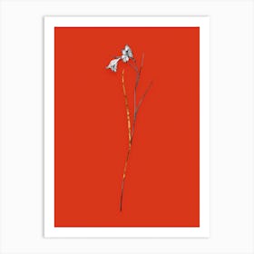 Vintage Blue Pipe Black and White Gold Leaf Floral Art on Tomato Red n.0529 Art Print