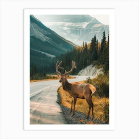 Elk Standing On The Road Art Print