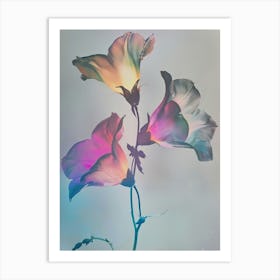 Iridescent Flower Canterbury Bells 2 Art Print
