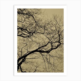 Golden Houre Abstract Branches Art Print