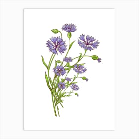 Cornflowers.uk Art Print