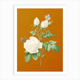 Vintage White Bengal Rose Botanical on Sunset Orange n.0702 Art Print