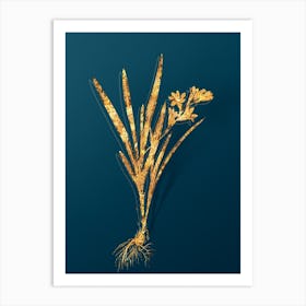 Vintage Gladiolus Xanthospilus Botanical in Gold on Teal Blue n.0125 Art Print