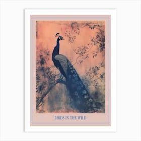 Pink & Blye Peacock In A Tree Cyanotype Inspired 2 Poster Art Print