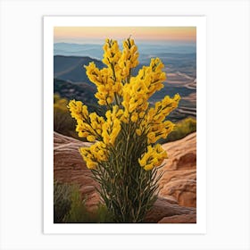 Yellow Lupine Flowers Art Print