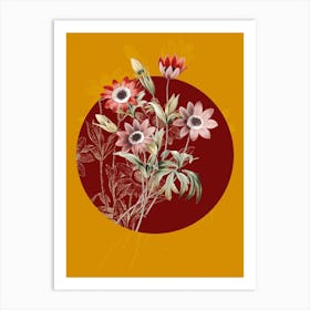 Vintage Botanical Broad Leaved Anemone Anemone Stellata on Circle Red on Yellow n.0057 Art Print