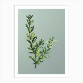 Vintage Buxus Colchica Bush Botanical Art on Mint Green n.0396 Art Print