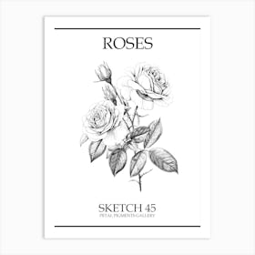 Roses Sketch 45 Poster Art Print