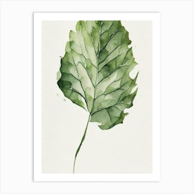 Wild Lettuce Leaf Minimalist Watercolour 2 Art Print