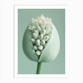 White Flower 3 Art Print