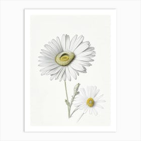 Daisy Floral Quentin Blake Inspired Illustration 2 Flower Art Print