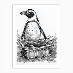 African Penguin Nesting 1 Art Print