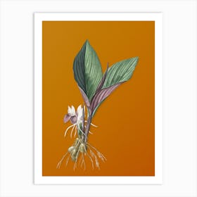 Vintage Koemferia Longa Botanical on Sunset Orange n.0121 Art Print