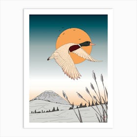 Duck In Flight Art Print