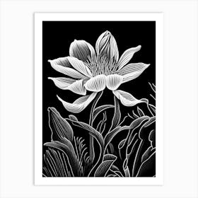 Bloodroot Wildflower Linocut Art Print