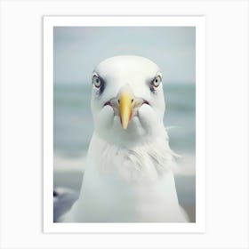 Portrait Of A Seagull Art Print