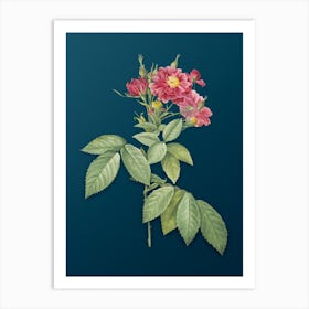 Vintage Boursault Rose Botanical Art on Teal Blue n.0475 Art Print