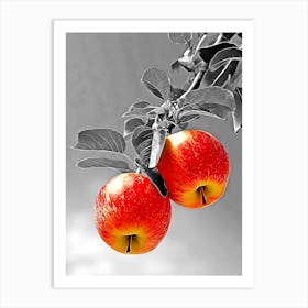 Two Apples On A Branch Art Print