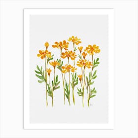 Golden Marigolds Art Print