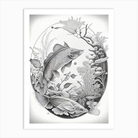 Kigoi Koi Fish Haeckel Style Illustastration Art Print