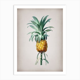 Vintage Pineapple Botanical on Parchment Art Print