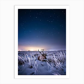 Baby Reindeer Nestled In Frost Kissed Grass Surrounded By A Starry Winter Meadow Soft Fur Contrast Art Print