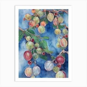 Gooseberry Classic Fruit Art Print
