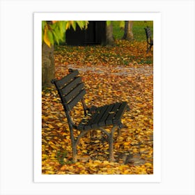 Autumn Park Bench Art Print