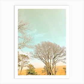 Dartmoor Trees Art Print